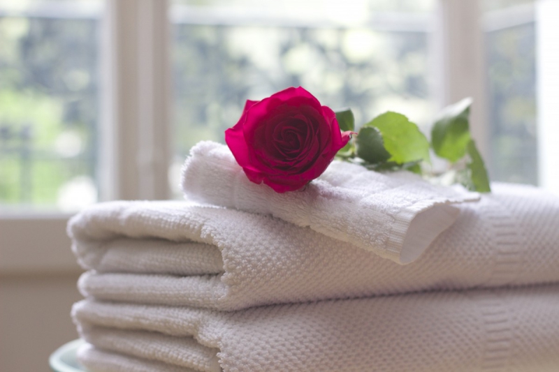 hotel-PONTEVES-min_towel_rose_clean_care_salon_spa_white_bath-731641